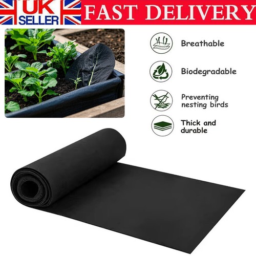 Linerfor wooden - 290cm)for,